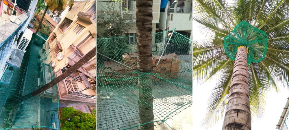 Coconut Tree Saferty Nets