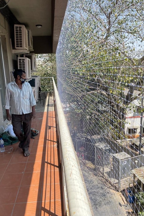 Pigeon Protection Nets Near Me