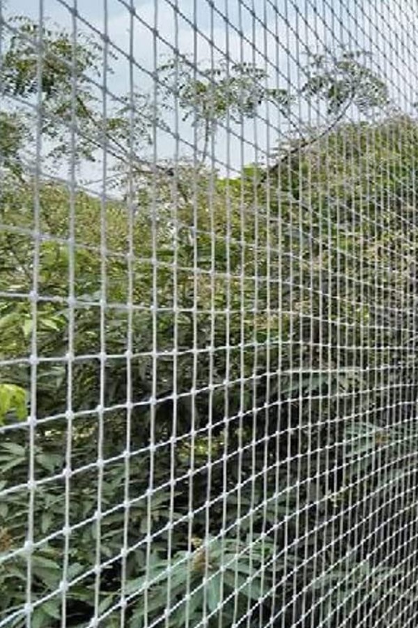 Bird Netting Price