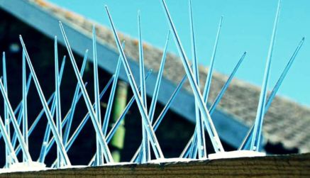 Bird Spikes